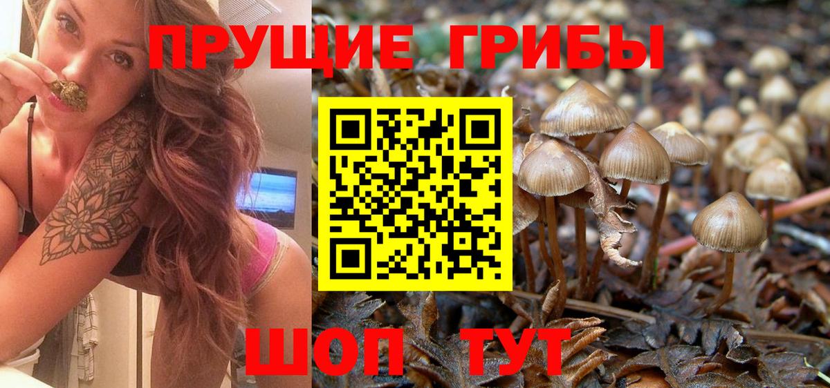 Псилоцибиновые грибы Magic Shrooms Соль-Илецк